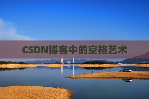 CSDN博客中的空格艺术